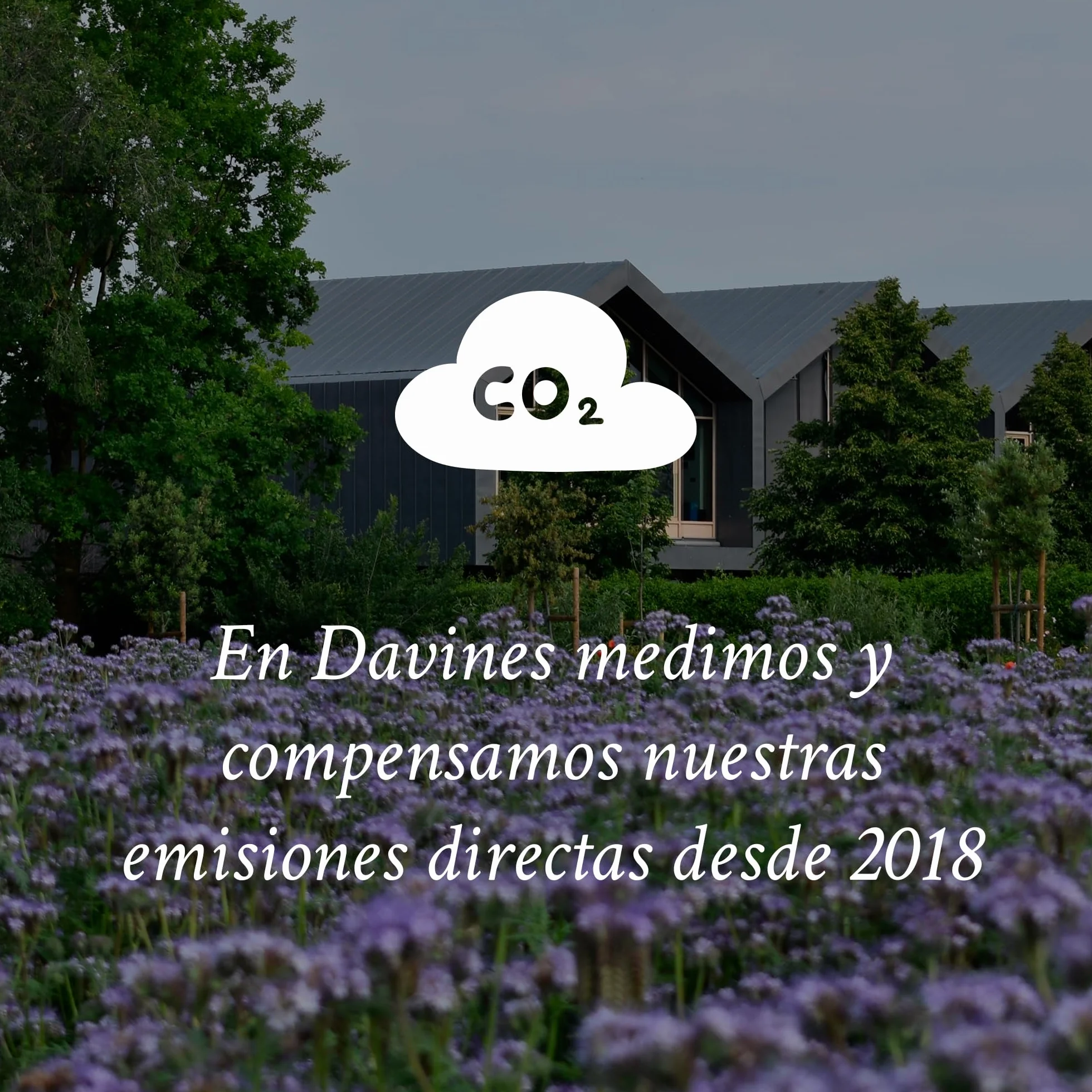 Davines, Spray de Texturización en Seco, 250 ml