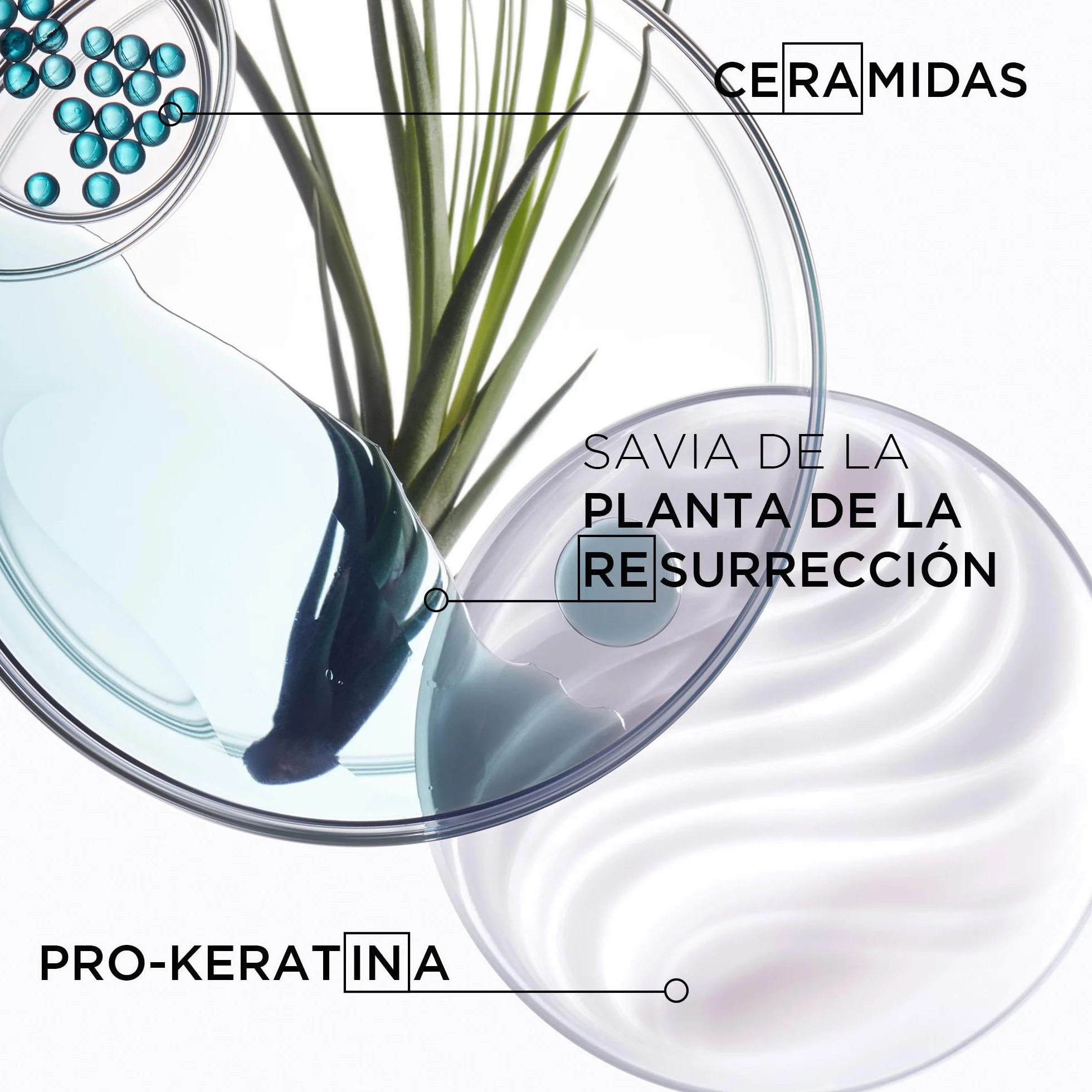 Kerastase Resistance Force Architecte Ciment Thermique