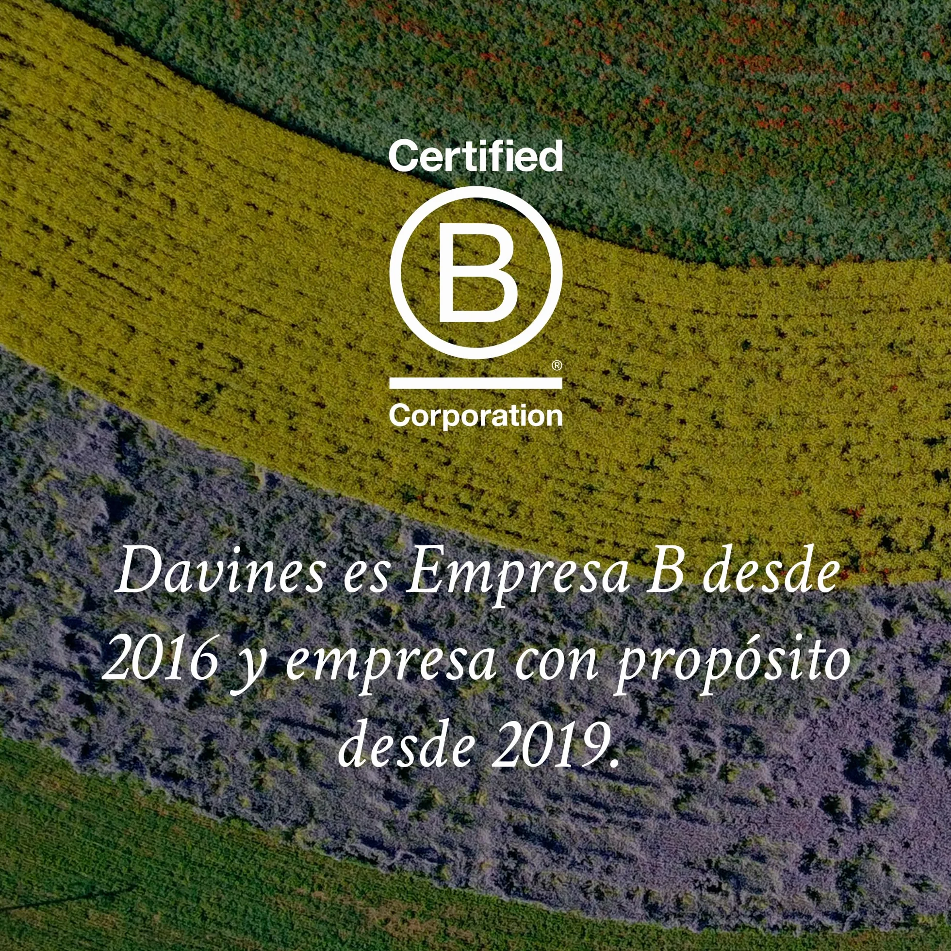 Davines, Spray de Texturización en Seco, 250 ml