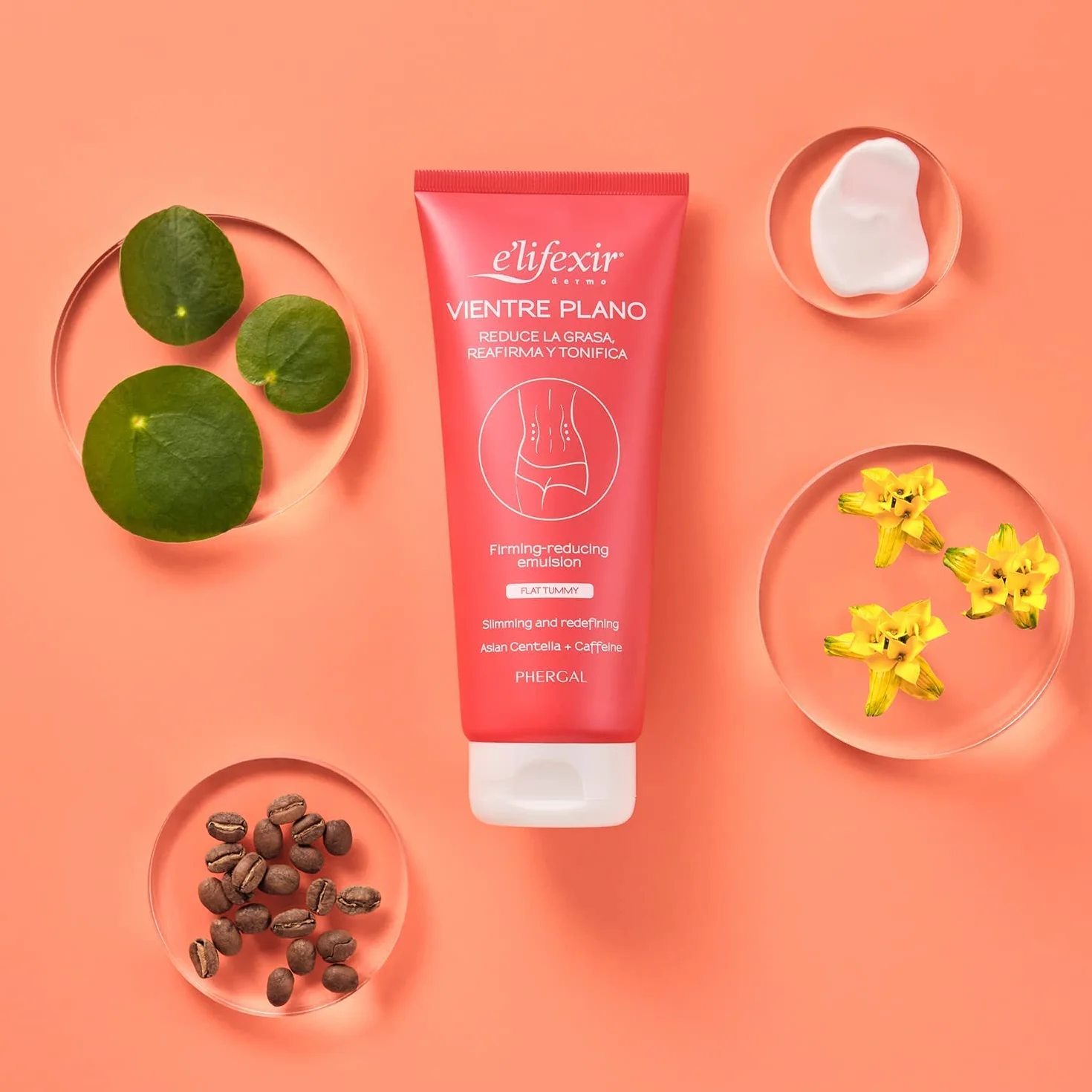Elifexir | Cacao Sense + Nocturslim + Vientre Plano | Exfoliante Corporal + Quemagrasas Nocturno + Gel Reductor abdomen | Luce una Figura Esculpida | 200ml + 200ml + 200ml