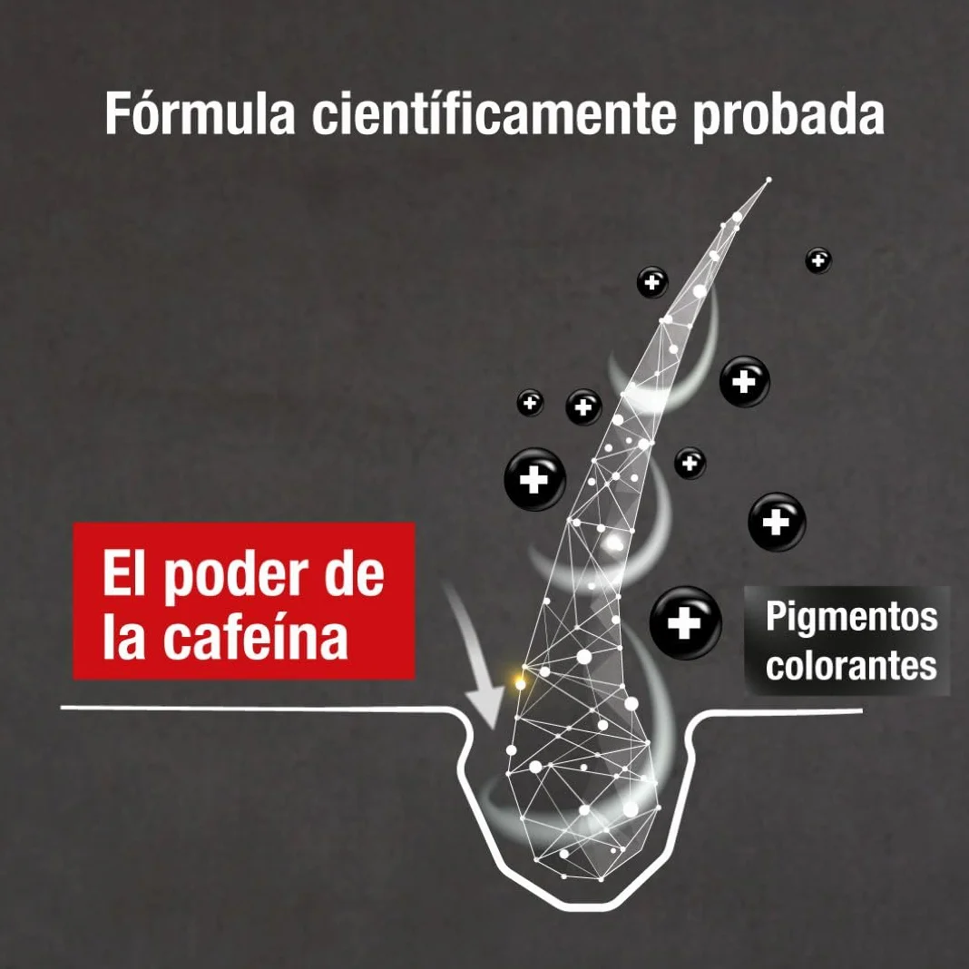 Alpecin Grey Attack Caffeine & Colour Shampoo for Men 2x 200ml | Cabello gradualmente más oscuro y fuerte | Efecto de color controlado y de aspecto natural con menos canas