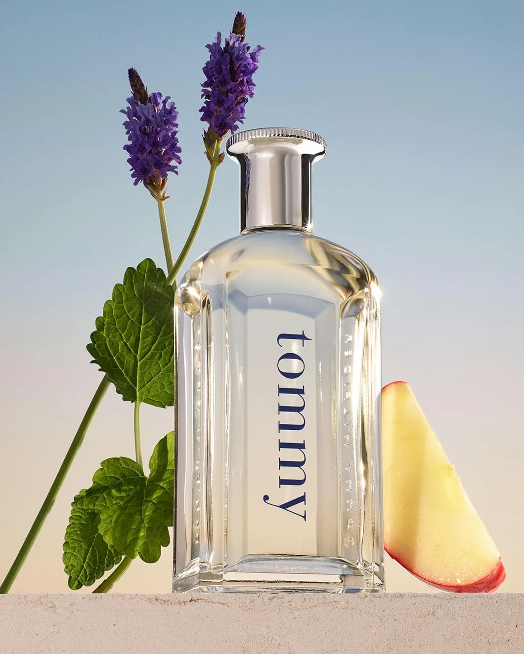 Tommy Hilfiger Tommy Eau de Toilette 100 ml Perfume de Hombre Fougère