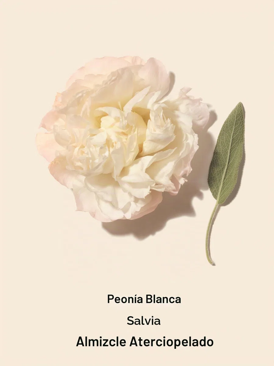Victoria's Secret - Fragancia de seducción de bomba (250 ml)