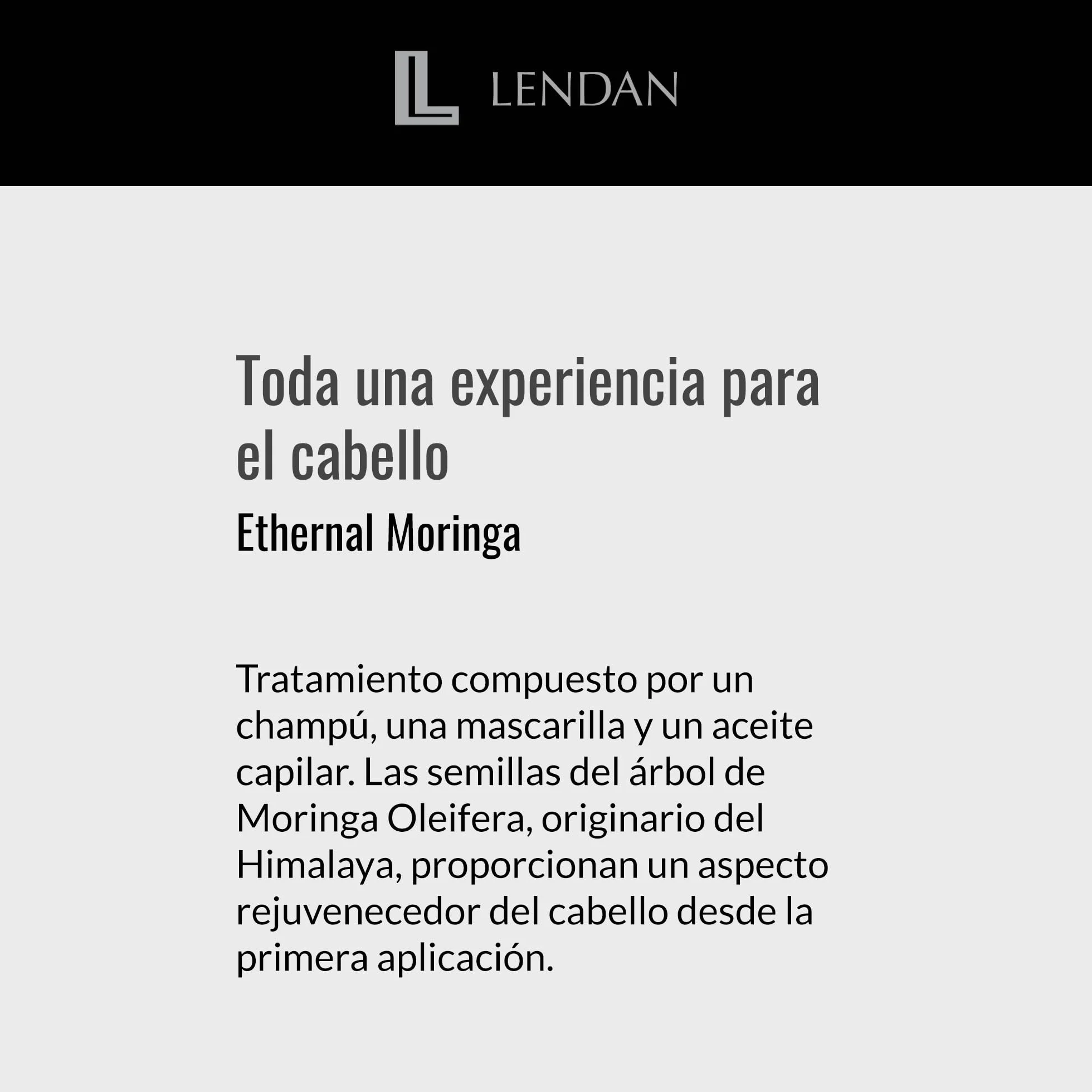 LENDAN - Aceite Capilar con Aceite de Moringa - 100 ml - Sérum para el Cabello - Rejuvenecedor Capilar - Hidrata, Nutre y Aporta Fuerza al Cabello