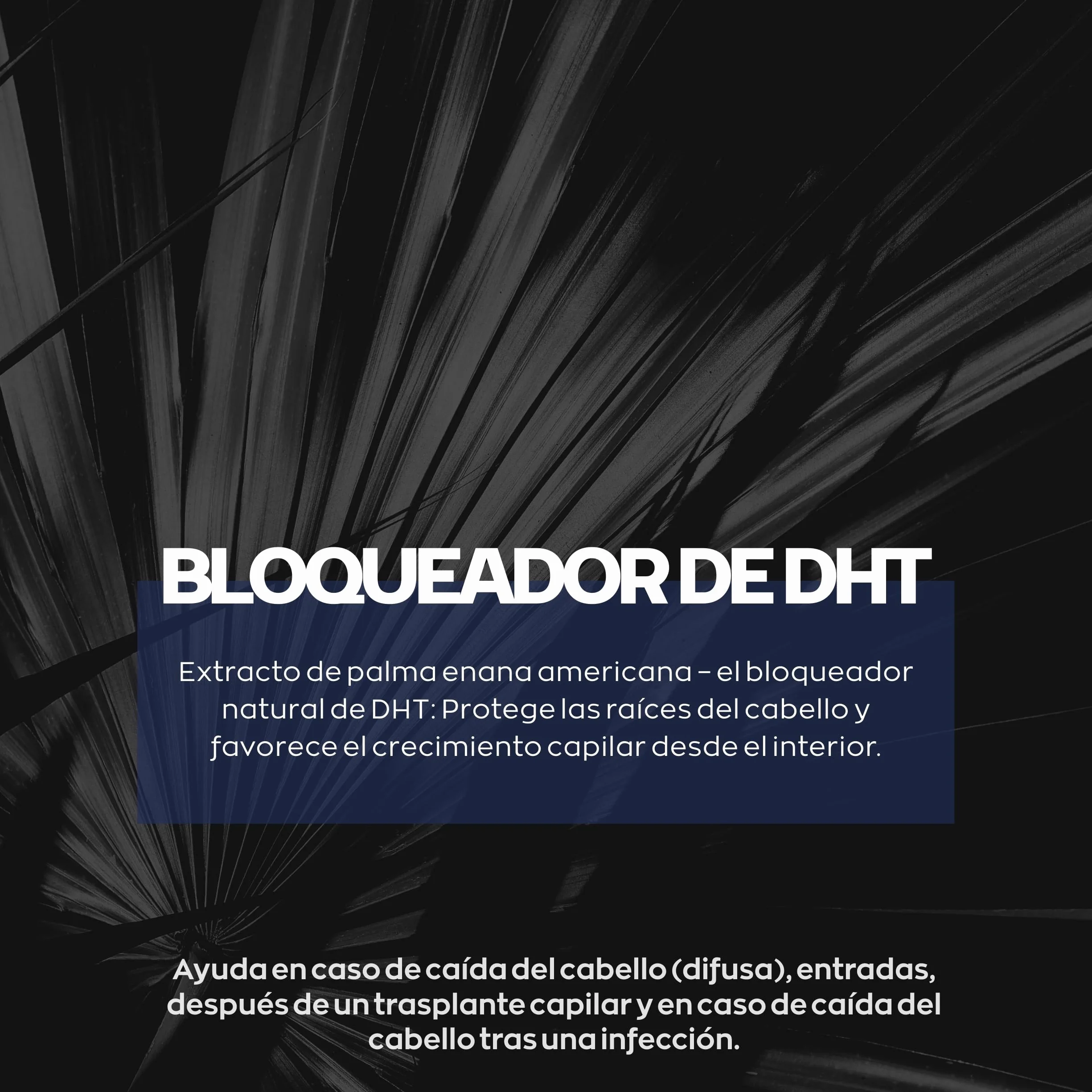 XPECIA - Anticaída del cabello para hombres, bloquea la DHT, fórmula para el crecimiento del cabello, 60 pastillas