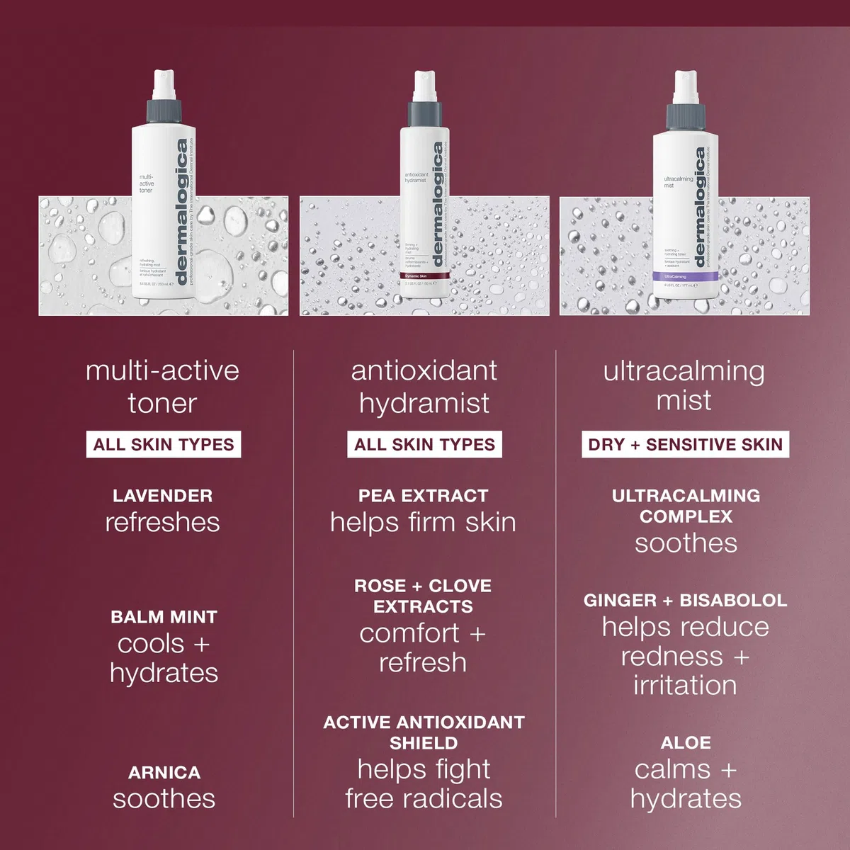 Dermalogica Antioxidant Hydramist - Reduce las Líneas Finas e Hidrata, Protege la Piel contra los Radicales Libres, Uso Diario para Hidratación Continua, para Todo Tipo de Piel, 150ml